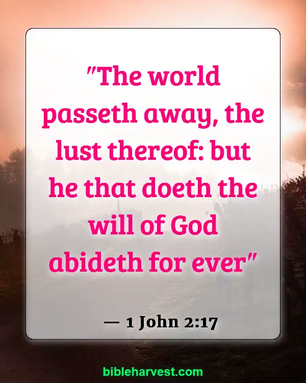 God Has A Plan For Your Life Bible Verse (1 John 2:17)