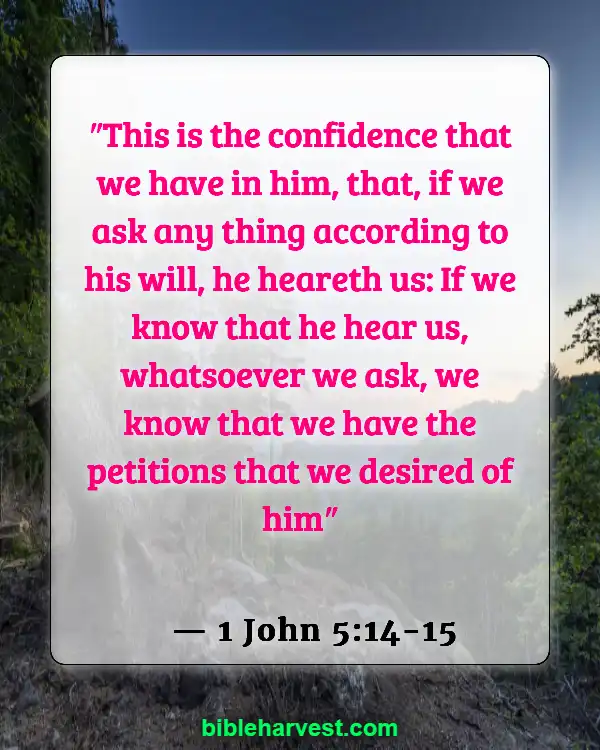 Bible verses about the Promisses of God (1 John 5:14-15)