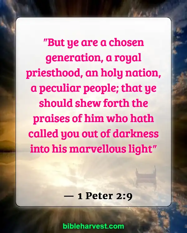 God Has A Plan For Your Life Bible Verse (1 Peter 2:9)