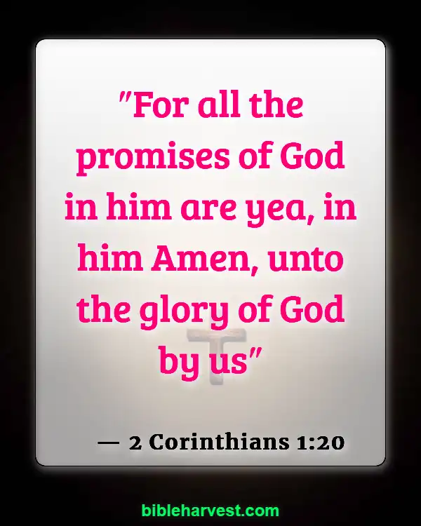 Bible verses about the Promisses of God (2 Corinthians 1:20)