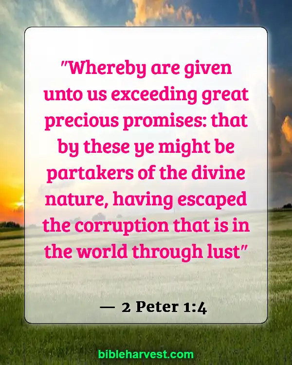 Bible verses about the Promisses of God (2 Peter 1:4)