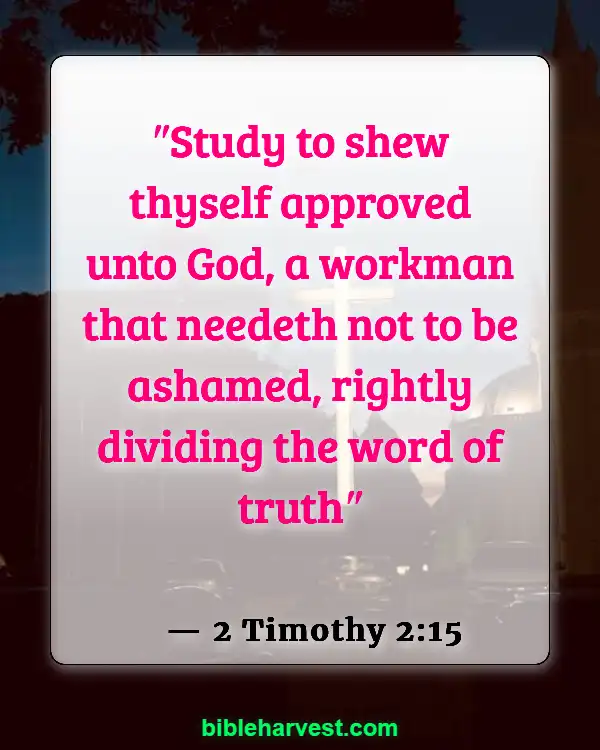 Bible Verses About Real Christian (2 Timothy 2:15)