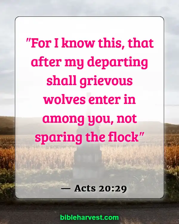 Bible Verses About Deception In The Last Days (Acts 20:29)