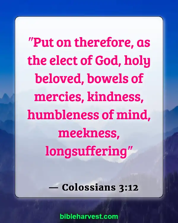 Bible Verses About Loving Your Neighbor (Colossians 3:12)