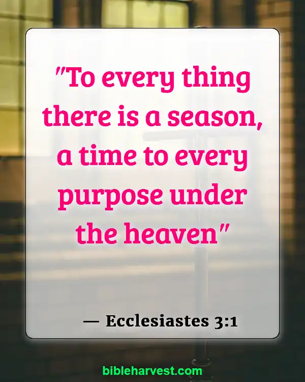 Bible Verses About Trusting God’s Plan (Ecclesiastes 3:1)