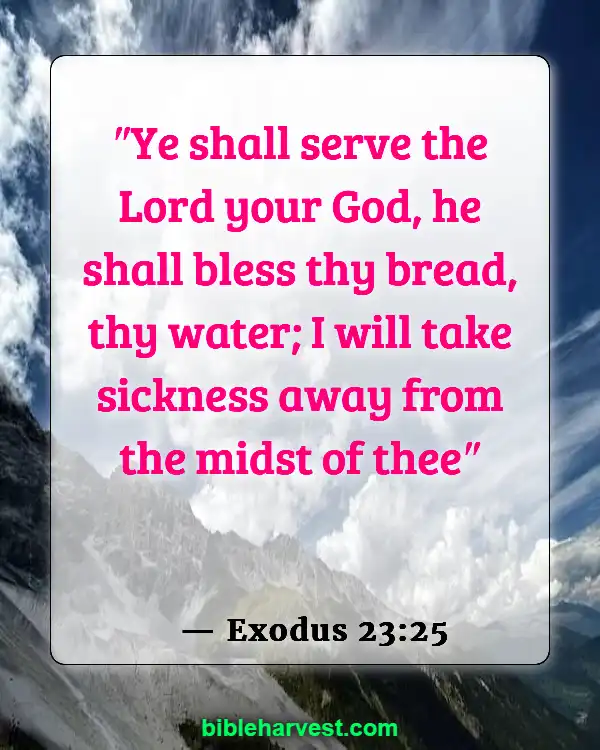 Bible Verses About Health (Exodus 23:25)