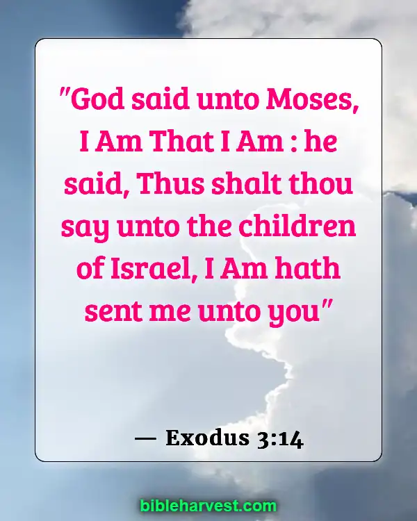 Bible Verses About The Name Of God (Exodus 3:14)