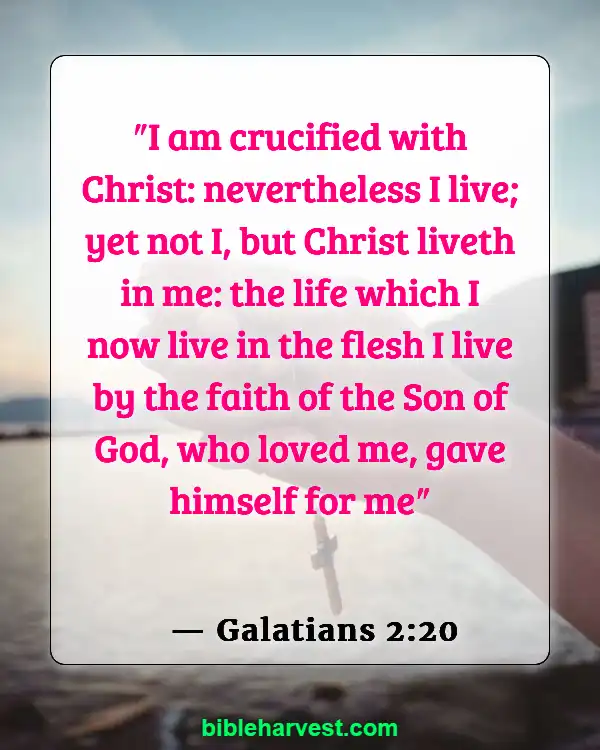 Bible Verses About Real Christian (Galatians 2:20)