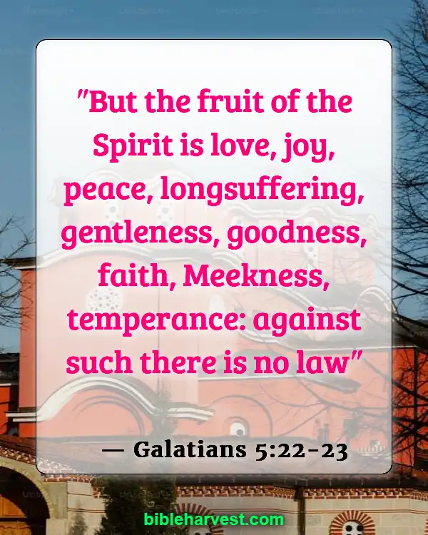 God Has A Plan For Your Life Bible Verse (Galatians 5:22-23)