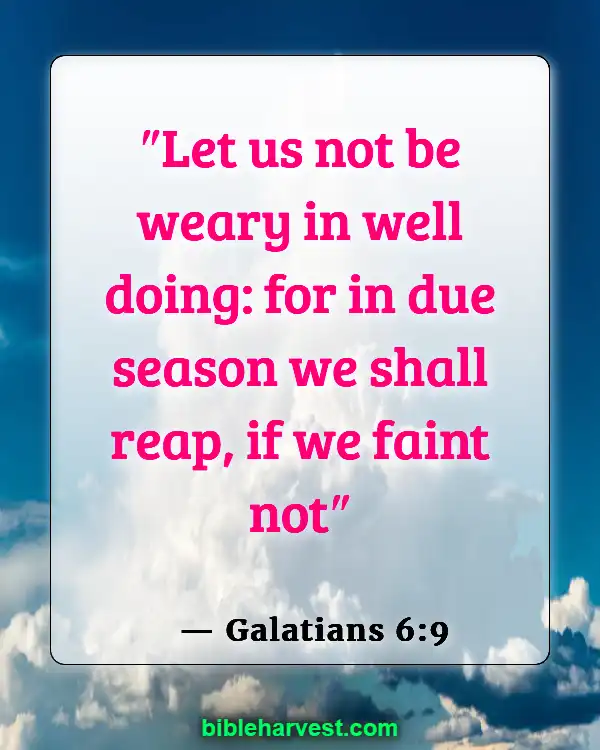 Bible Verses About Trusting God’s Plan (Galatians 6:9)