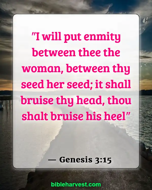 Bible Verses About Jesus Birth (Genesis 3:15)