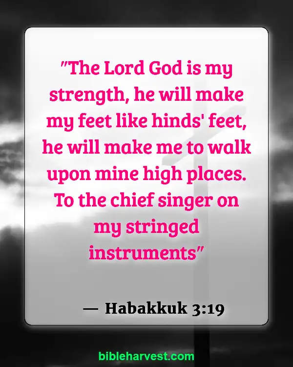 Bible Verses About Strength and Courage (Habakkuk 3:19)