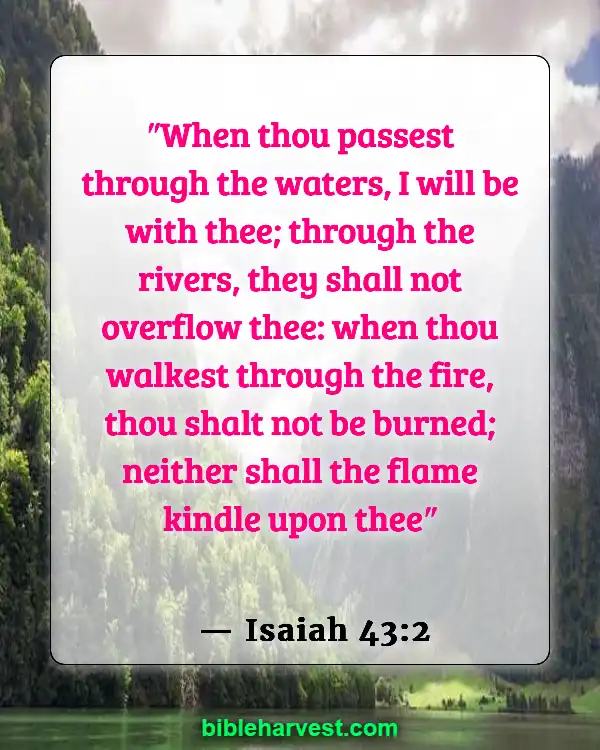 Bible verses about the Promisses of God (Isaiah 43:2)