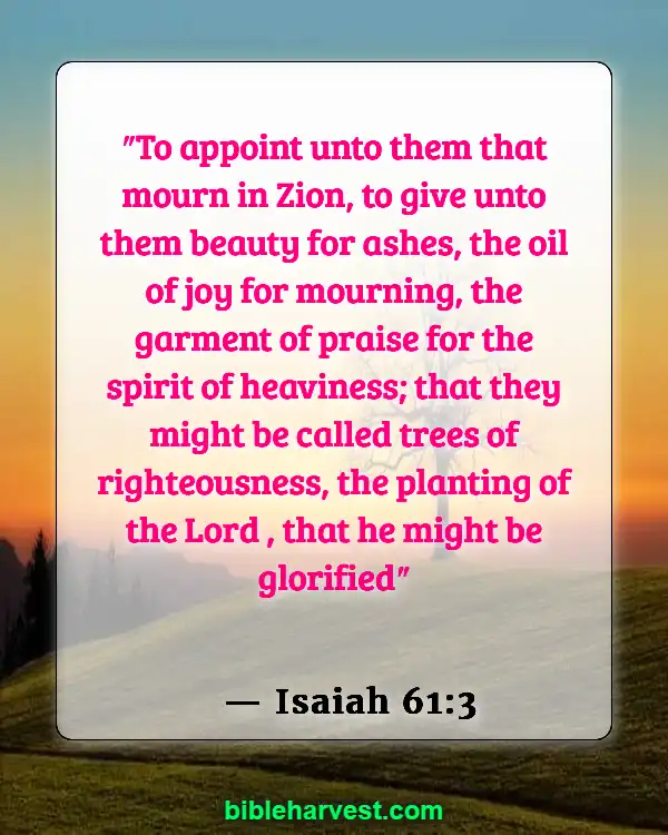 Bible Verses About Hapiness And Joy (Isaiah 61:3)