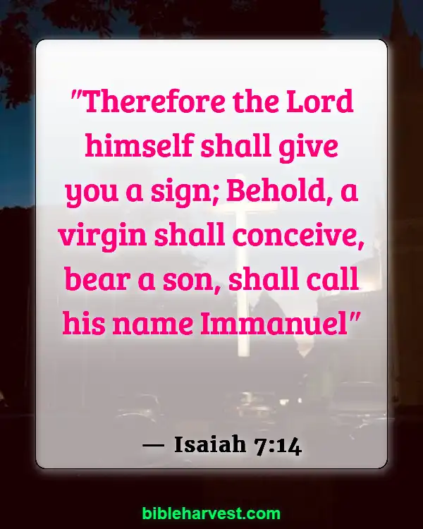 Bible Verses About Jesus Birth (Isaiah 7:14)