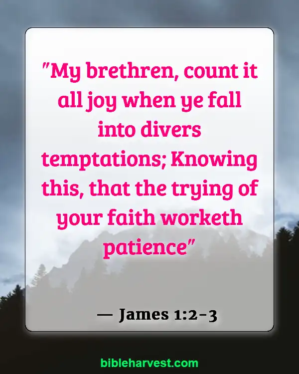 Bible Verses About Trusting God’s Plan (James 1:2-3)