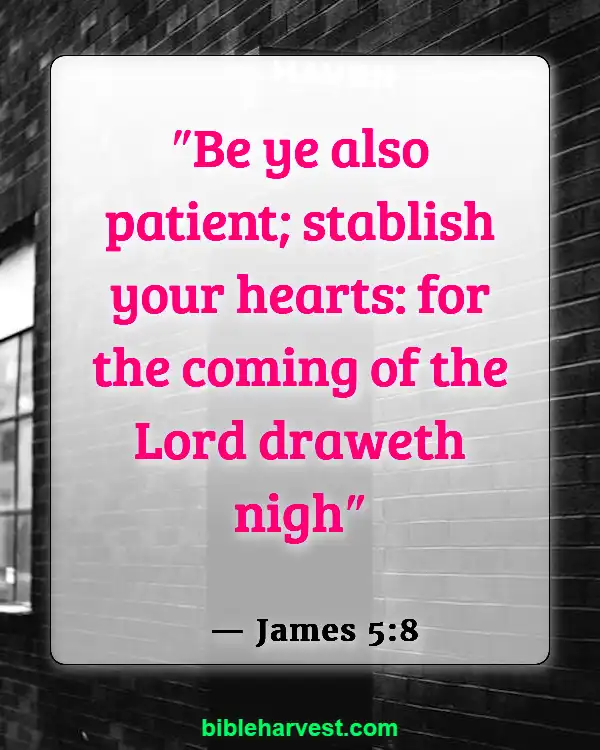25 Bible Verses About The End Times (James 5:8)
