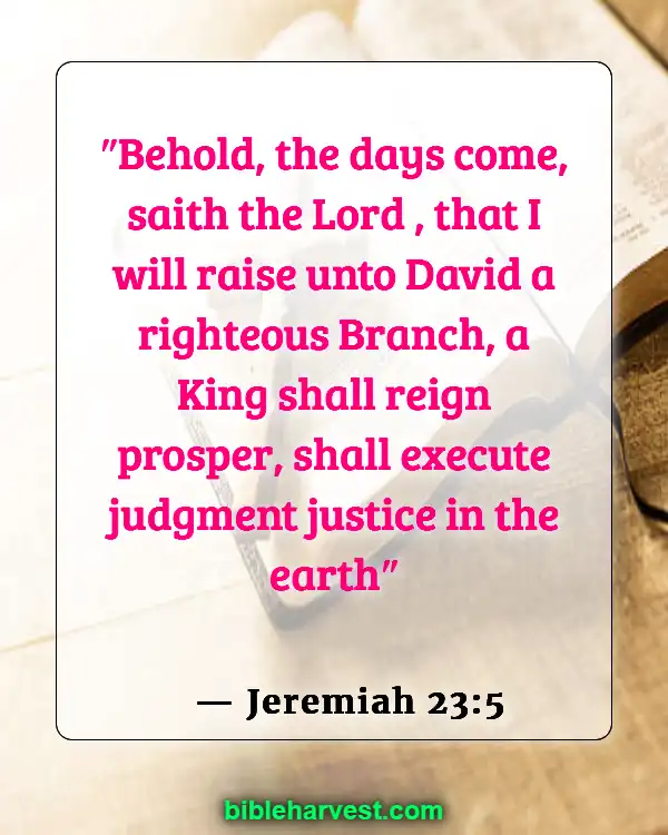 Bible Verses About Jesus Birth (Jeremiah 23:5)