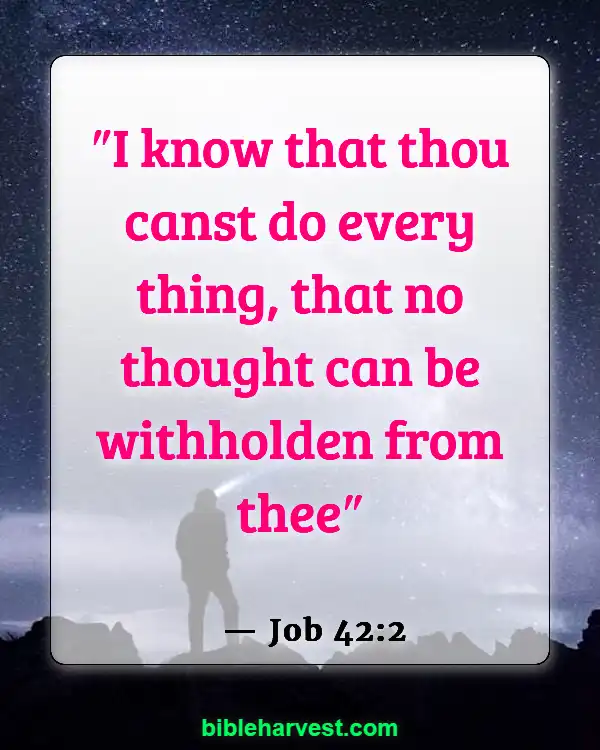 30 Bible Verses About Overcoming Weekness (Job 42:2)