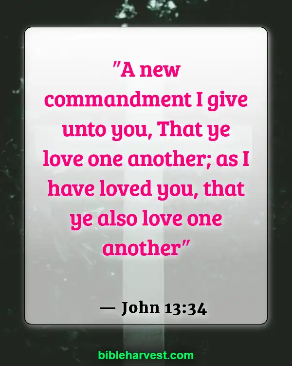 Bible Verses About Loving Your Neighbor (John 13:34)