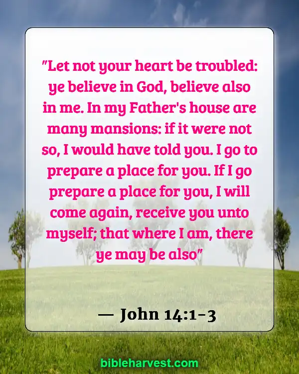 25 Bible Verses About The End Times (John 14:1-3)