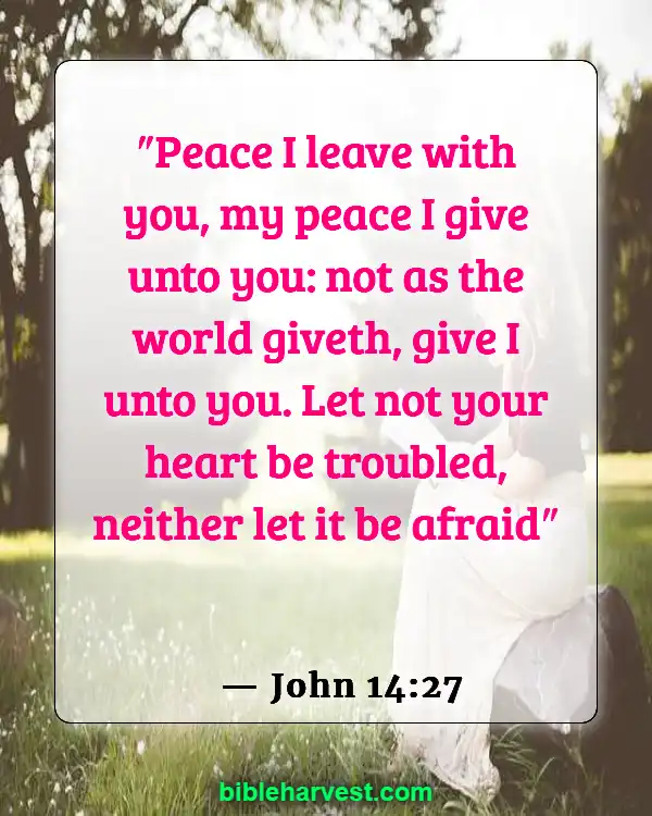 Bible Verses About Strength and Courage (John 14:27)