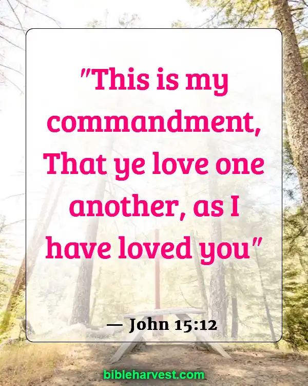 Bible Verses About Helping Others (John 15:12)
