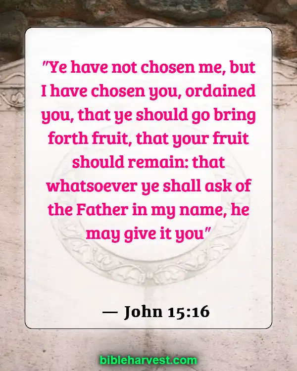 God Has A Plan For Your Life Bible Verse (John 15:16)