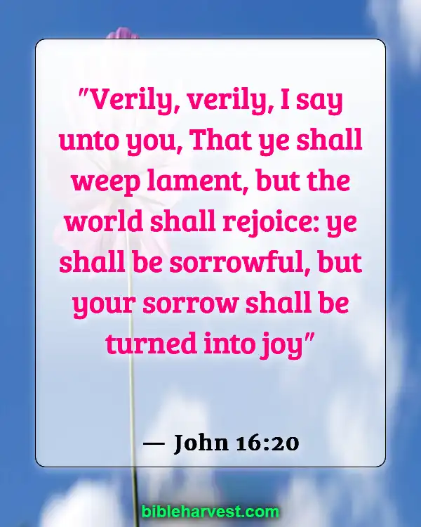 Bible Verses About Sadness (John 16:20)