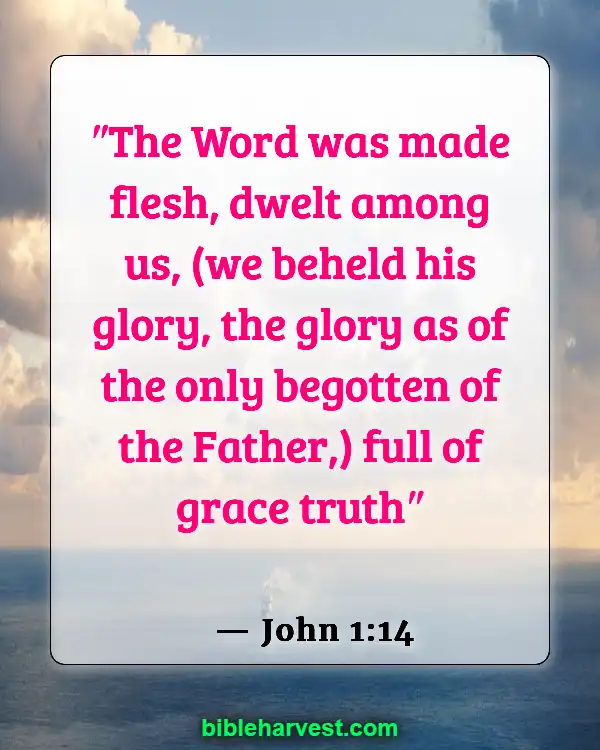 Bible Verses About Jesus Birth (John 1:14)