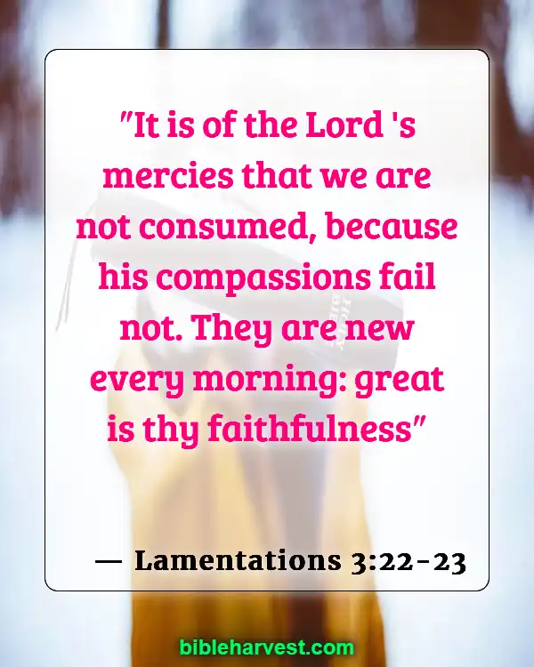 Goodness of God (Lamentations 3:22-23)