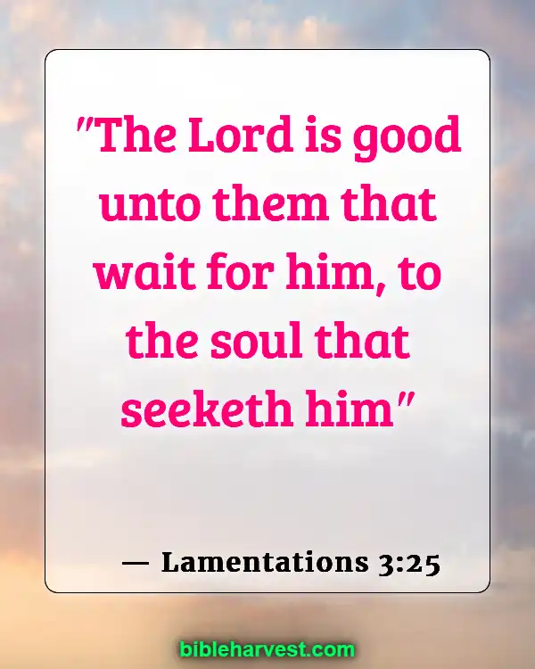 Bible Verses About Trusting God’s Plan (Lamentations 3:25)