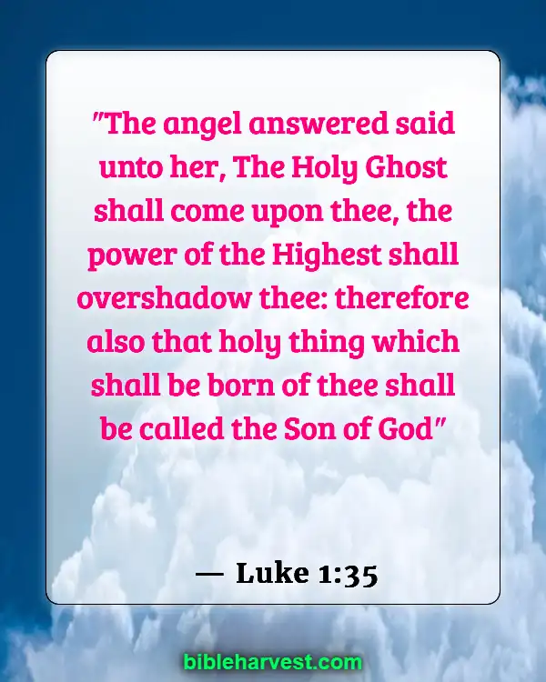 Bible Verses About Jesus Birth (Luke 1:35)