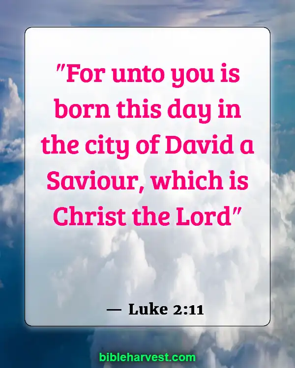 Bible Verses About Jesus Birth (Luke 2:11)