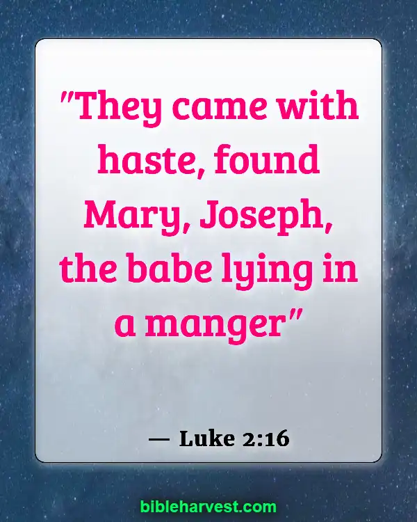 Bible Verses About Jesus Birth (Luke 2:16)