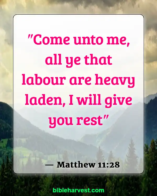 Bible Verses About Strength and Courage (Matthew 11:28)