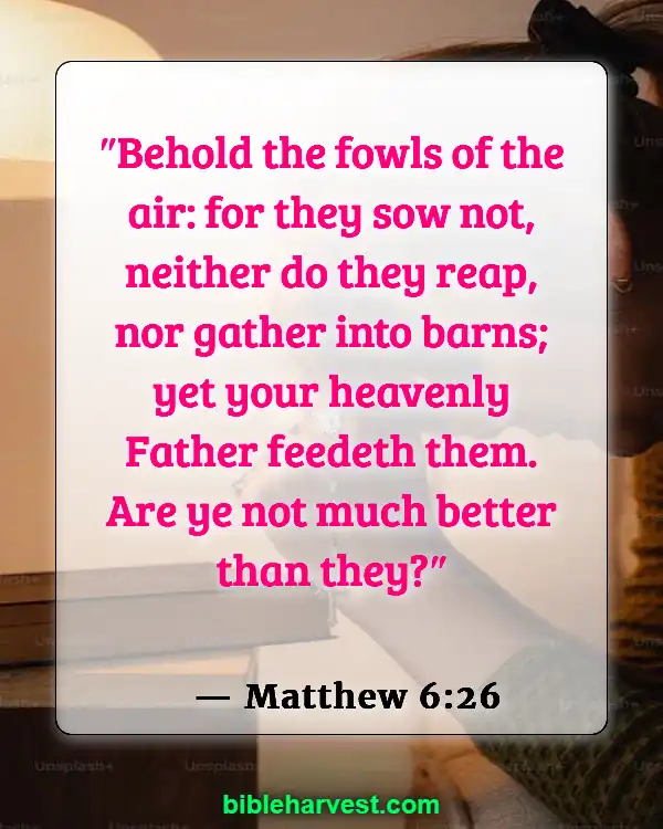 Verses About Money (Matthew 6:26)