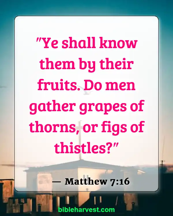 Bible Verses About Real Christian (Matthew 7:16)