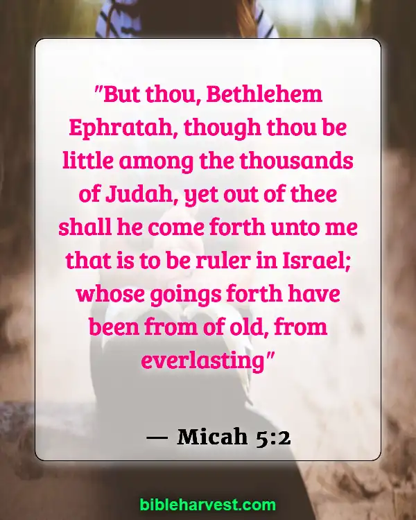 Bible Verses About Jesus Birth (Micah 5:2)