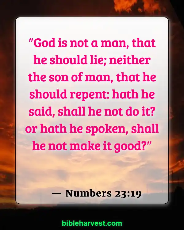 Bible verses about the Promisses of God (Numbers 23:19)