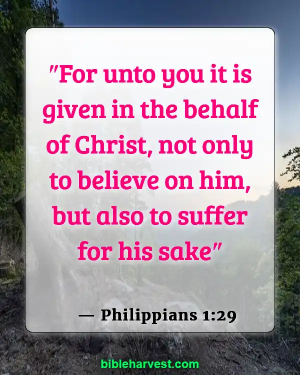 Bible Verses About Hapiness And Joy (Philippians 1:29)