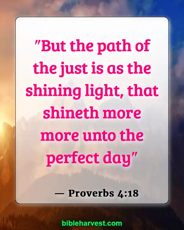 God Has A Plan For Your Life Bible Verse (Proverbs 4:18)
