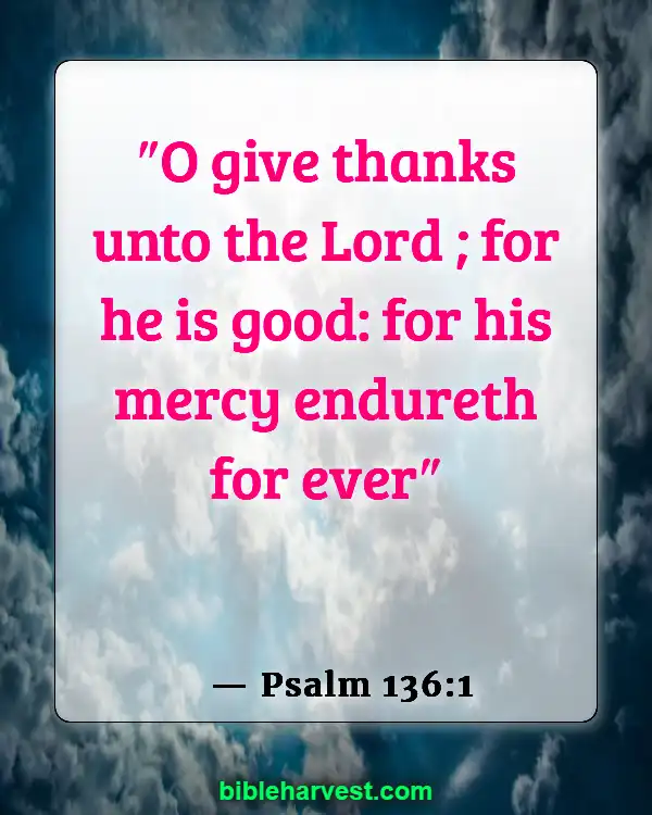 Goodness of God (Psalm 136:1)