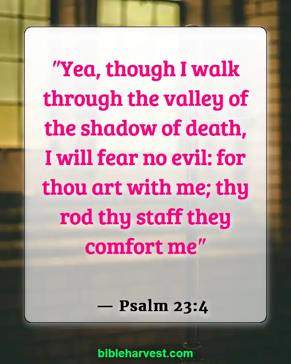 Bible Verses About Strength and Courage (Psalm 23:4)