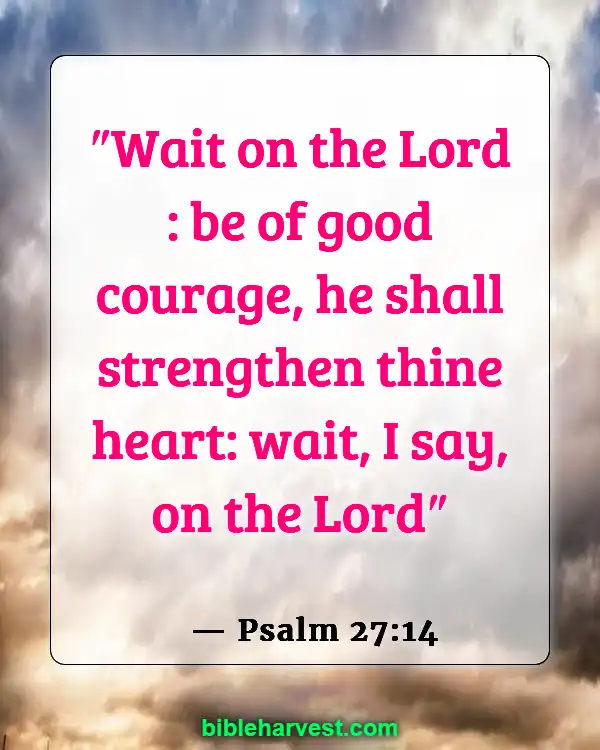 Bible Verses About Trusting God’s Plan (Psalm 27:14)