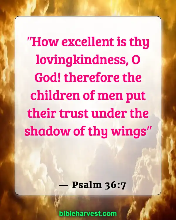 Bible Verses About God’s Love and Unfailing Mercy (Psalm 36:7)