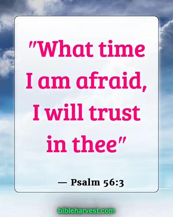 Bible Verses About Trusting God’s Plan (Psalm 56:3)
