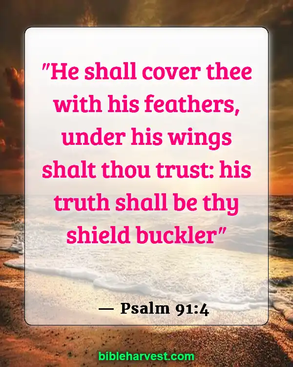 Bible Verses About Overcoming Anxiety and Fear (Psalm 91:4)