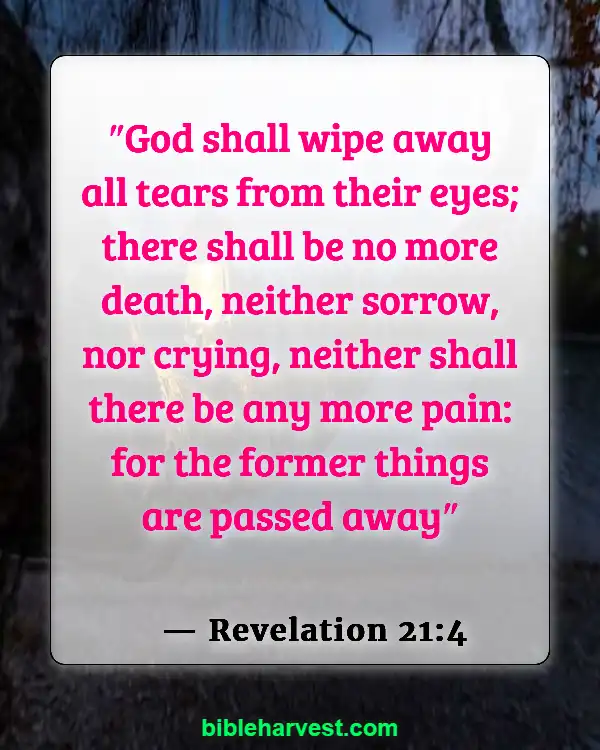 25 Bible Verses About The End Times (Revelation 21:4)