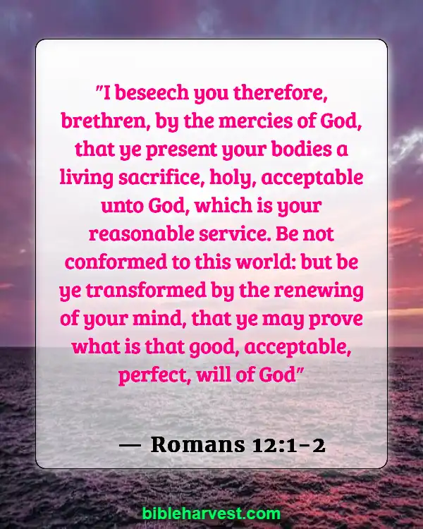 God Has A Plan For Your Life Bible Verse (Romans 12:1-2)
